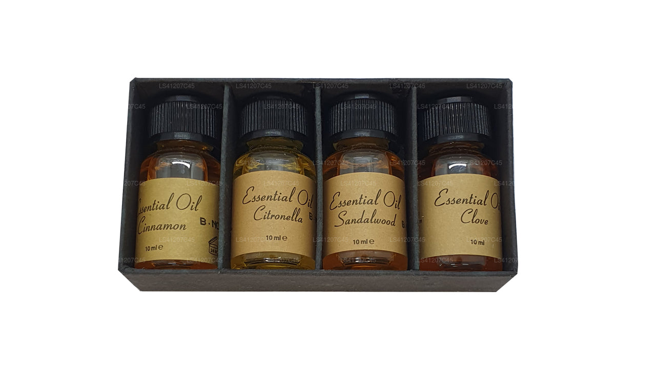 Paquete de aceites esenciales Siddhalepa (4 x 10 ml)