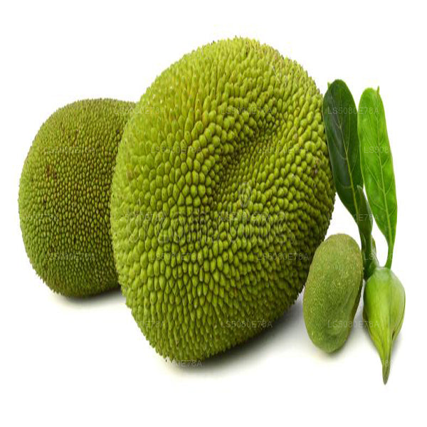 Baby Jackfruit () 500 g