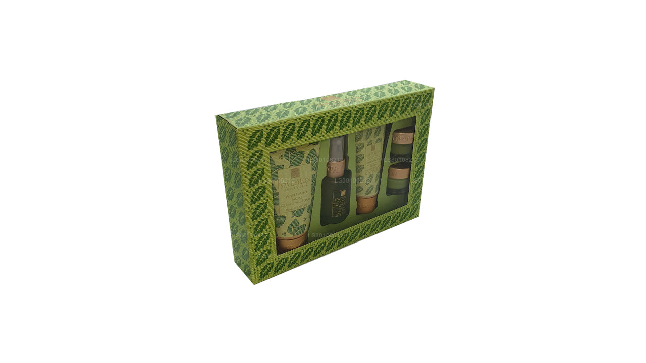 Set de productos esenciales para el cuidado de la piel con neem y árbol de té de Spa Ceylon